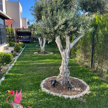 Entire Eksioglu Paradise Town In Antalya Villa *